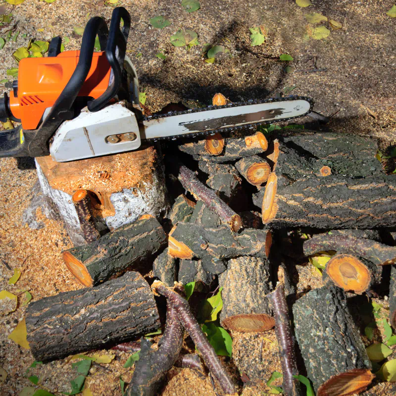 chainsaw on top of newly cut wood trunk